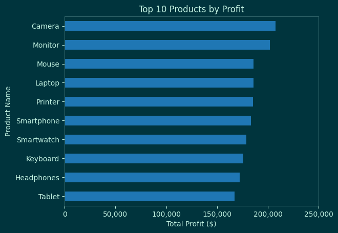 Top 10 products ranked by total profit